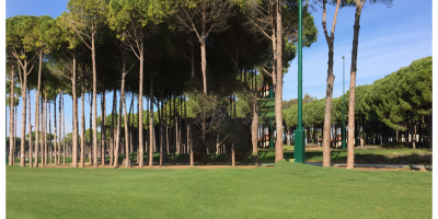 BB_TOUR_25-Logo_Belek-1-ohne Kopie BB_TOUR_25-Logo_Belek-1-ohne Kopie