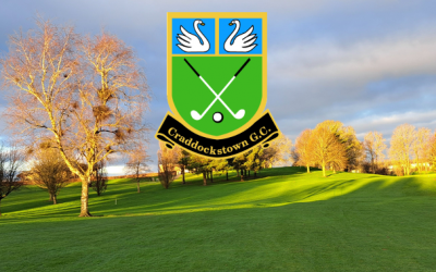Irland_craddockstown-1a